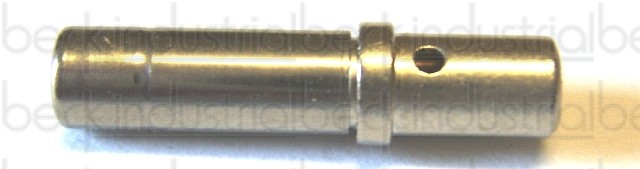 Pin, Deutsch, 0460-204-121