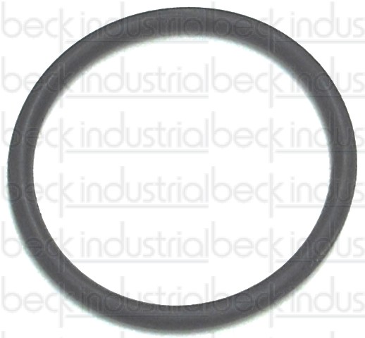 O-Ring, Chute Lock Pin