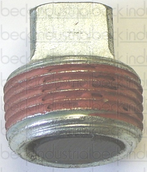 3/4" Magnetic Drain Plug