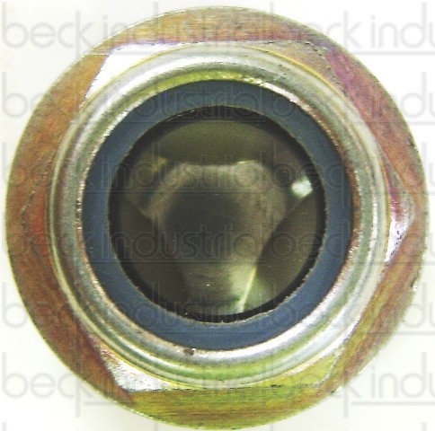 ZF Sight Gauge