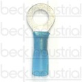 Ring Terminal, 16-14ga 1/4" Heat Shrink, Blue