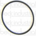 8761-234 Servo O-Ring