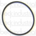 8761-237 Servo O-Ring