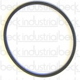 8761-234 Servo O-Ring
