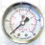 100 psi Pressure Gauge, Site Gauge